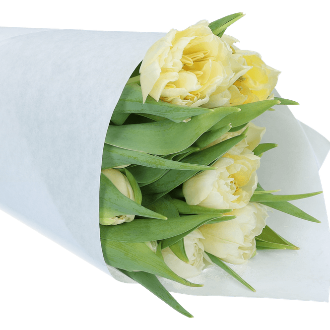 Hovedbilde Blomsterpapir hvit nøytral 50x70 cm 