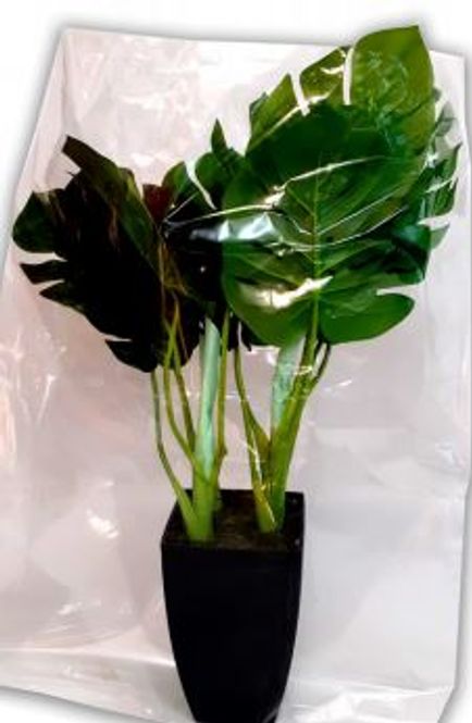 Hovedbilde Perforert cellofanpose for blomster100 stk