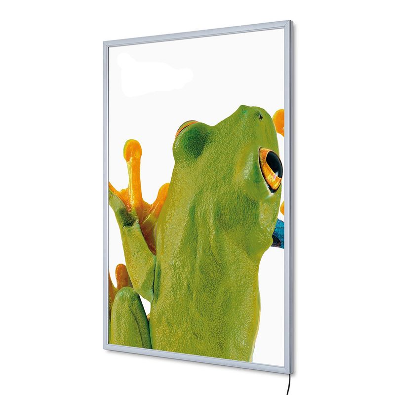 LED veggramme A3 