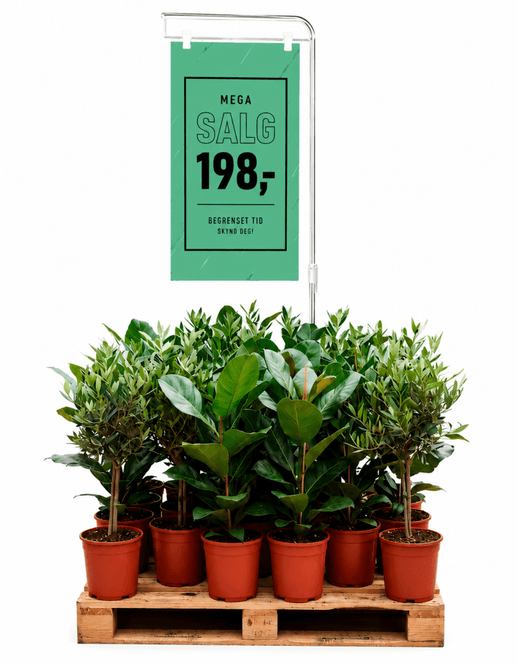 Hovedbilde Pallestativ Light – justerbart plakatstativ ...